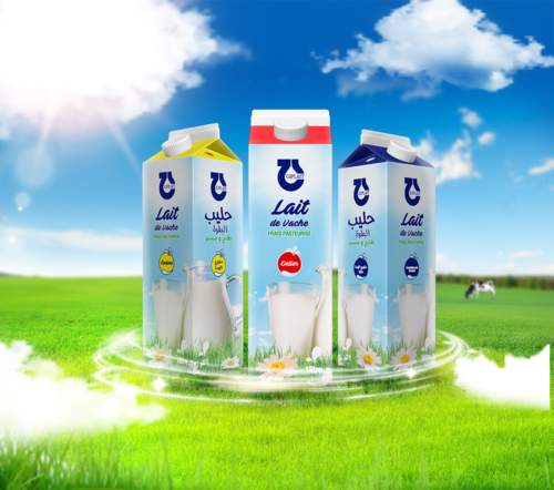 \\Galserv-01\ooogaldi\PROMOTION AND MARKETING\13. ELENA KHARKOVSKAYA\4. Social media\2. фото для соц сетей\фото в соц сети\giplait-galdi-gable-top.png