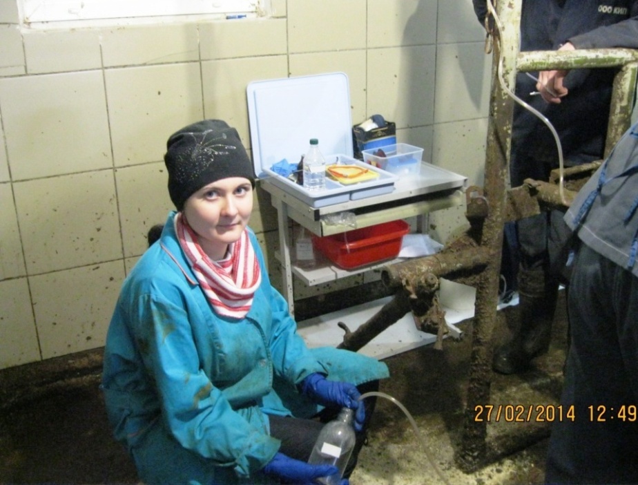 C:\ДД Диск Д\1. FOTO\Фото на 8 марта\IMG_0010.JPG
