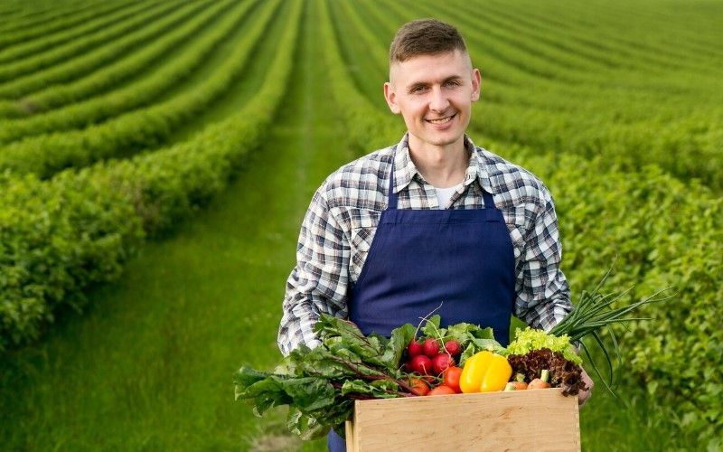 Тюменским фермерам доступны крупные субсидии на развитие хозяйств