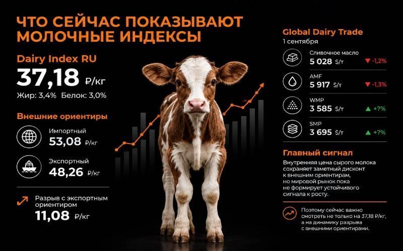 Что означают текущие значения молочных индексов и как их трактовать