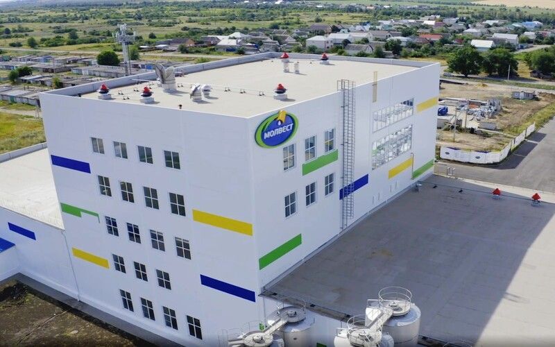Основные юрлица воронежской ГК «Молвест» увеличили выручку в 2025 году