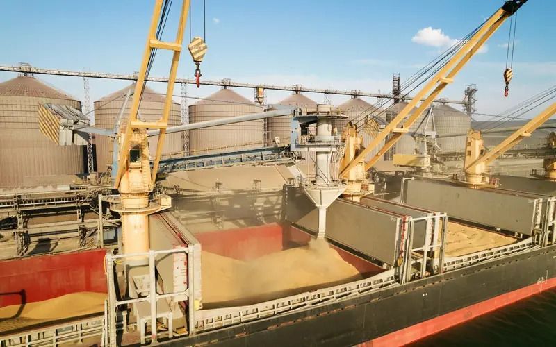 Экспорт продукции АПК через морские порты России вырос на 48% с начала года
