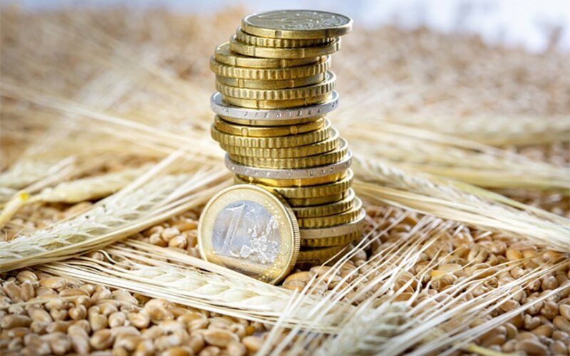 На поддержку аграриев на Херсонщине выделили около 1,5 млрд рублей