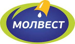Пресс-служба ГК «Молвест»