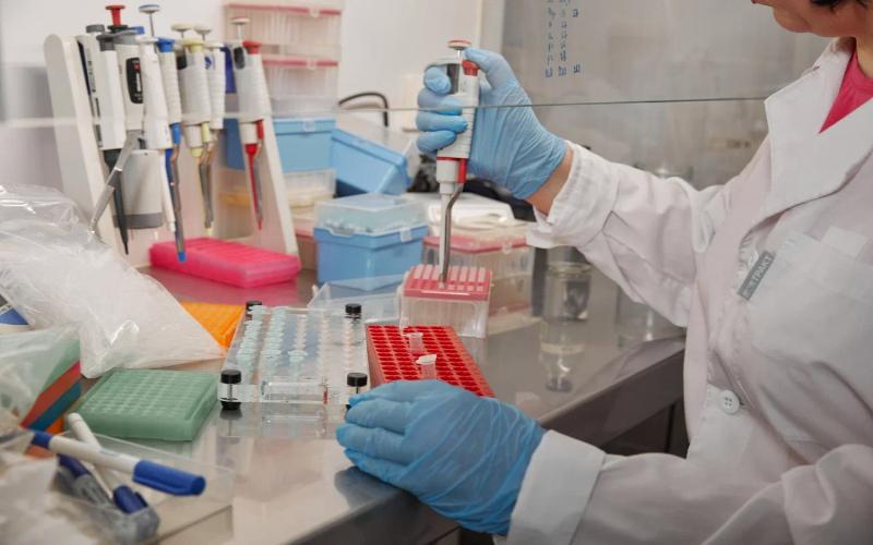 Уральские ученые изучают механизмы преждевременного старения сельскохозяйственных животных при поддержке РНФ