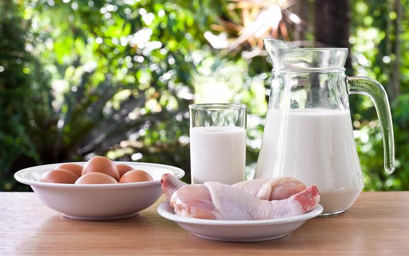 В Иркутской области за 2025 год отметили рост производства мяса и молока 
