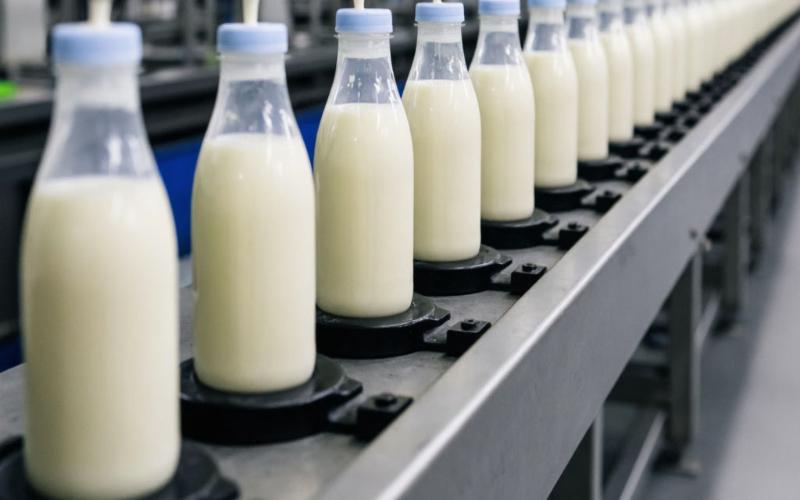Продажи молочных продуктов в 2025 году выросли на 3%