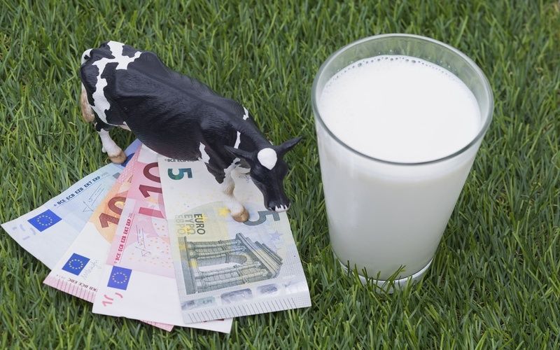 В ДНР производители молока получат более 140 млн рублей господдержки