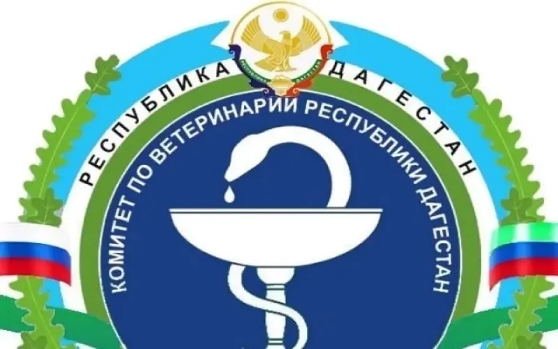 Шамиль Гитинов стал заместителем председателя Комитета по ветеринарии Дагестана 