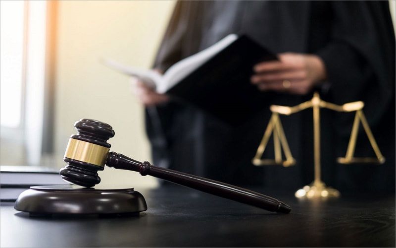 Тюменский молочный комбинат накажут за загрязнение навозом 4,6 га леса