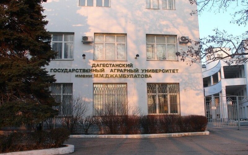 В Дагестане проверят работу государственного аграрного университета