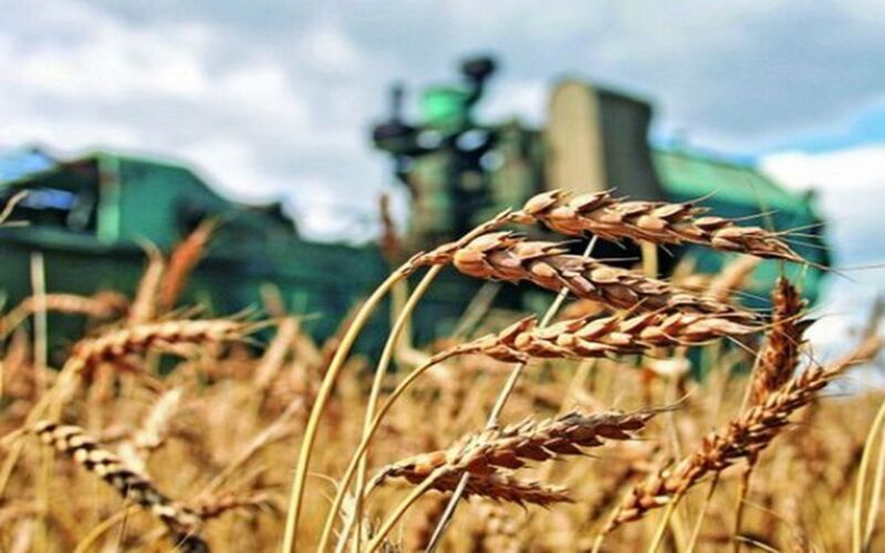 В 2024-м РФ увеличила поставки сельхозпродукции в Африку на 19 %