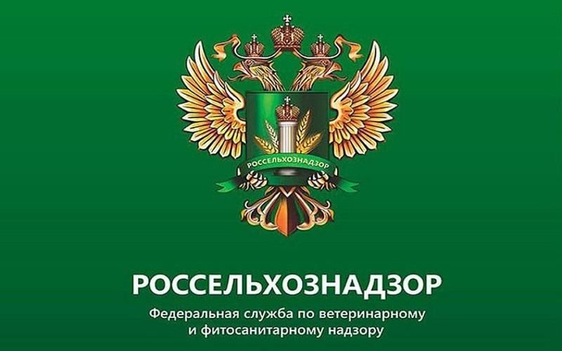 Россельхознадзор опроверг подлинность письма, поступившего новосибирским ветврачам