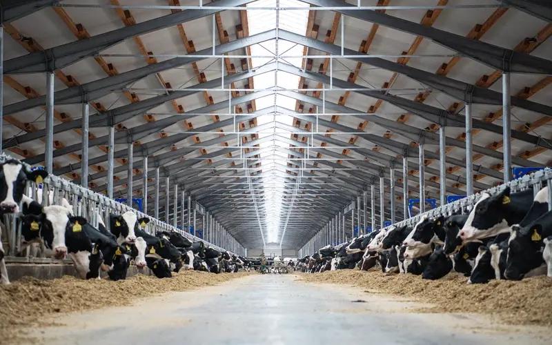 Рязанское подразделение «ЭкоНивы» подтвердило статус племенного репродуктора