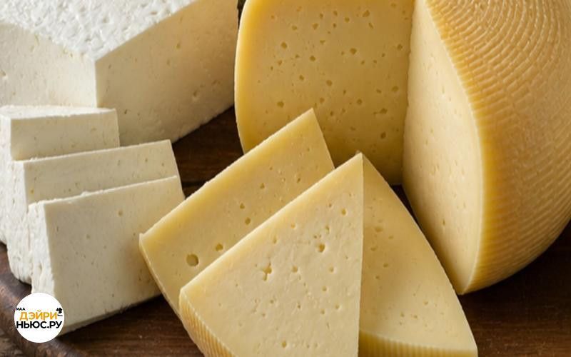 Молочная продукция «Савушкин» получила Гран-при конкурса «Молочный успех 2025»