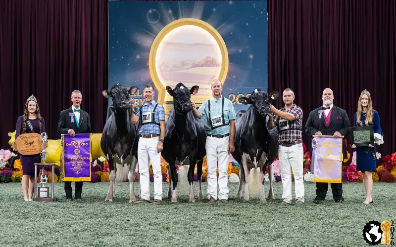Pwrup победила на Международной выставке голштинской породы на World Dairy Expo 2026 в категории пятилеток