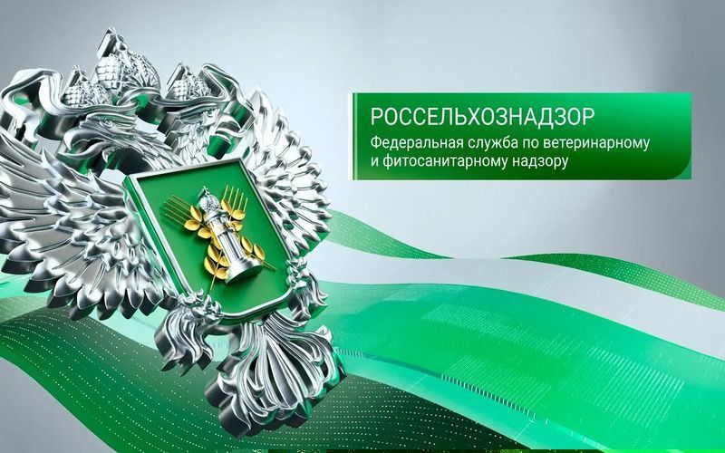 Россельхознадзор предупредил о повторных мошеннических рассылках
