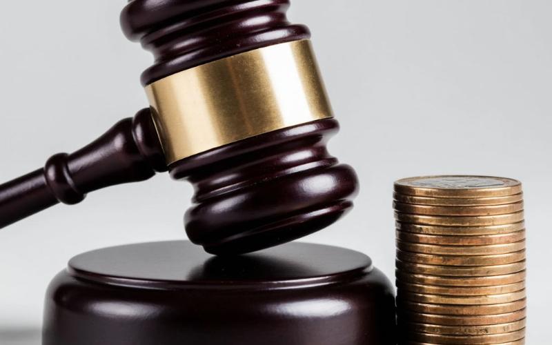 Суд обязал фермера из Ингушетии вернуть в бюджет региона 4,5 млн рублей