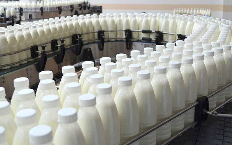 Объём реализации молока в сельхозорганизациях вырос на 3,6%