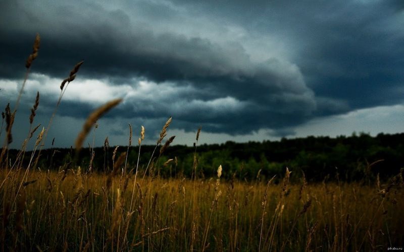 В Новгородской области введен региональный режим ЧС