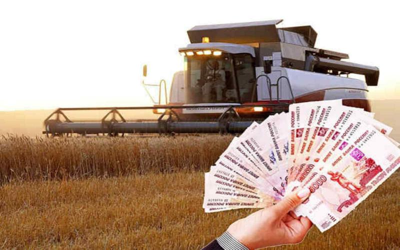 Выручка от экспорта российского АПК выросла на 24% по сравнению с 2025 годом