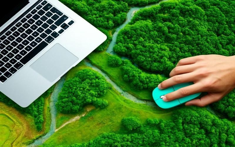 Минсельхоз и Рослесхоз синхронизируют данные о пожарах