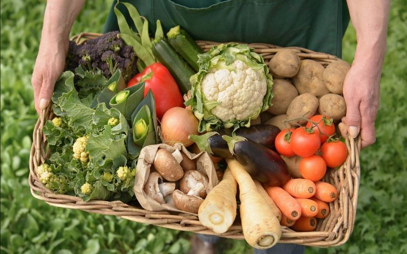 Законопроект об обязательной продаже до 25% агропродукции через биржу отозван из Госдумы