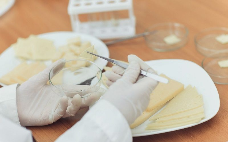 Тувинский госуниверситет получил Евразийский патент на сырный продукт