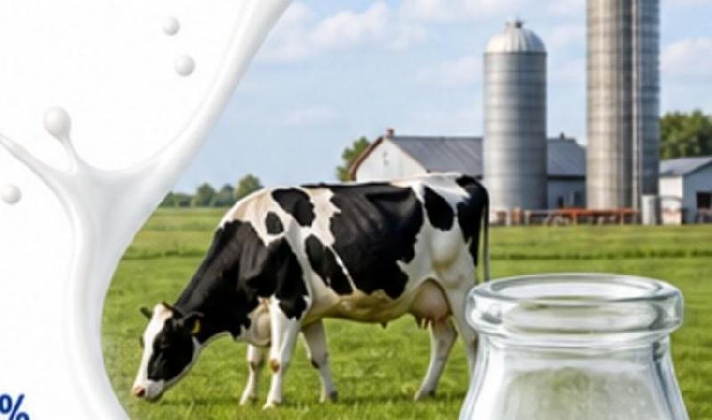Доля топ-30 производителей молока достигла 25%: рейтинг Milknews