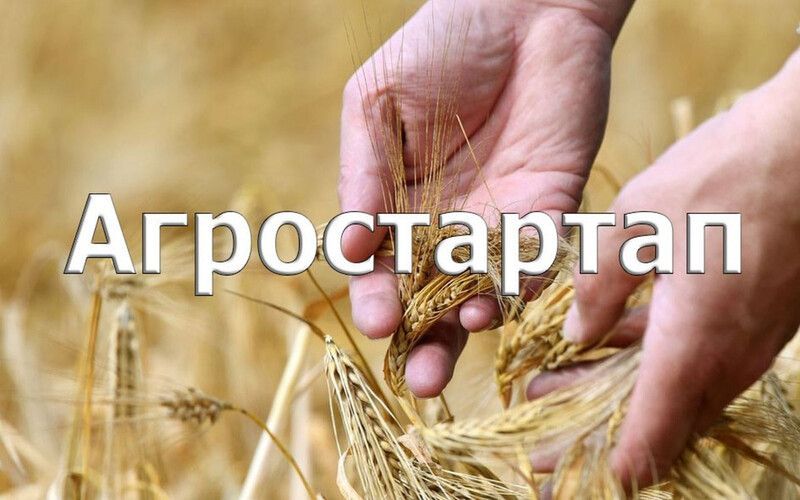 На Вологодчине стартовал прием заявок на получение гранта «Агростартап»