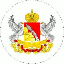 Пресс-служба правительства Воронежской области