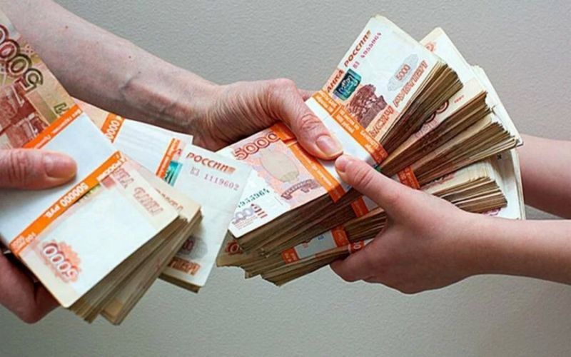 На Сахалине объявлено о проведении отбора на предоставление субсидий на поддержку и развитие сельского хозяйства
