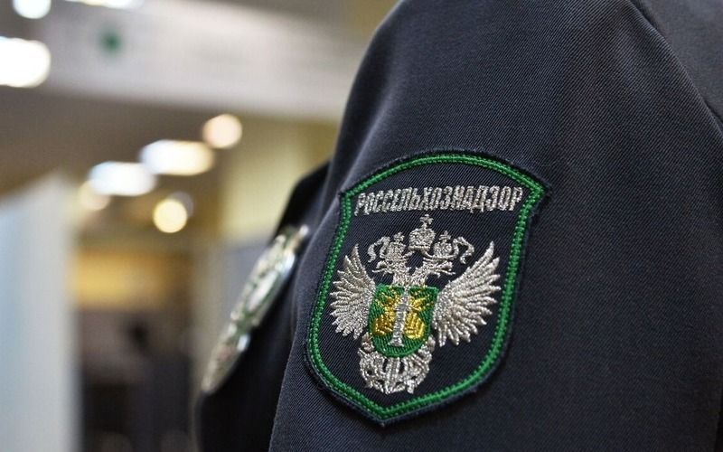 Дроны против навоза: как Россельхознадзор ищет нарушения в карельских хозяйствах