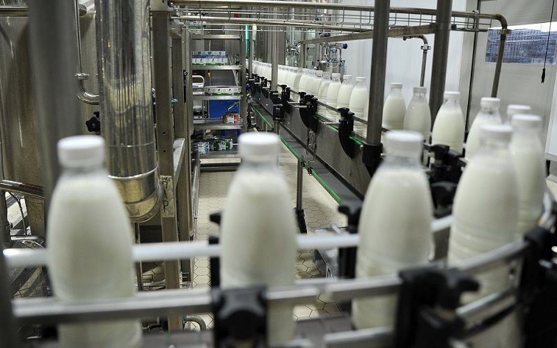 Оренбургский молочный комбинат расширил линейку продукции