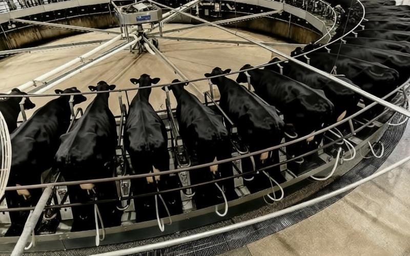Рязанская компания запатентовала интеллектуальную систему диагностики доильного оборудования