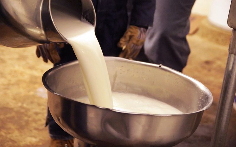 В Смоленской области производство молока выросло на 30%  
