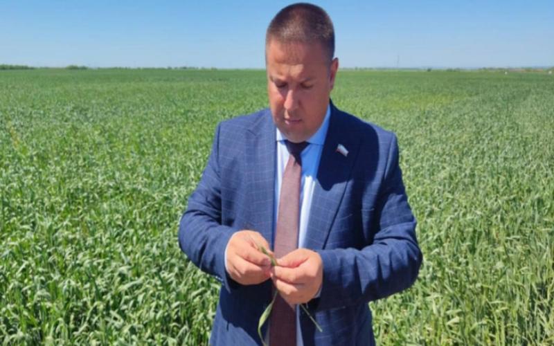 Глава саратовского минсельхоза Роман Ковальский уходит в отставку