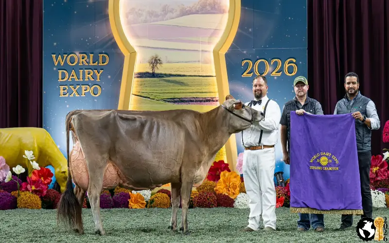 Бейли стала первой двукратной чемпионкой Jersey Supreme на World Dairy Expo 2026