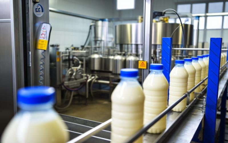 Ставрополье нарастило экспорт молочных продуктов в 10 раз в 2026 году