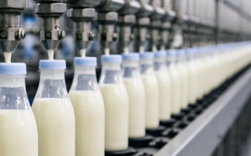 ООО «Натуральное молоко» закрыли на 30 суток из-за нарушений санитарных норм 