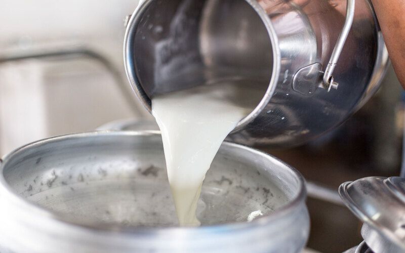 В Пензенской области наращивают производство молочной продукции 