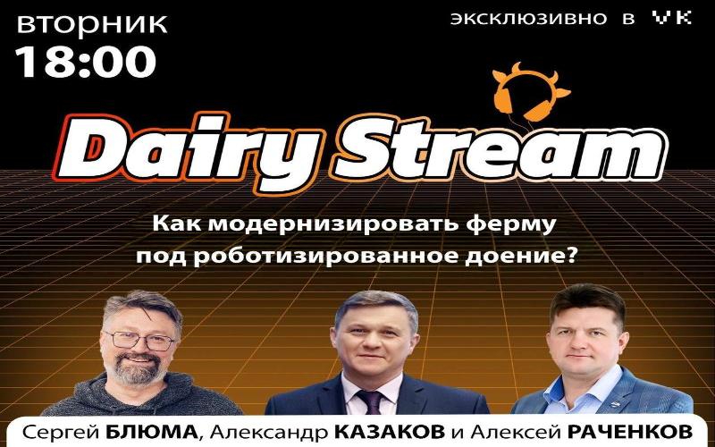 DAIRY STREAM СЕГОДНЯ В 18:00