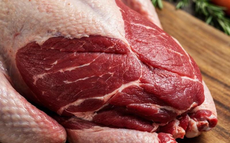 В Калининградской области хотят создать производство мяса индейки для нужд завода HiPP