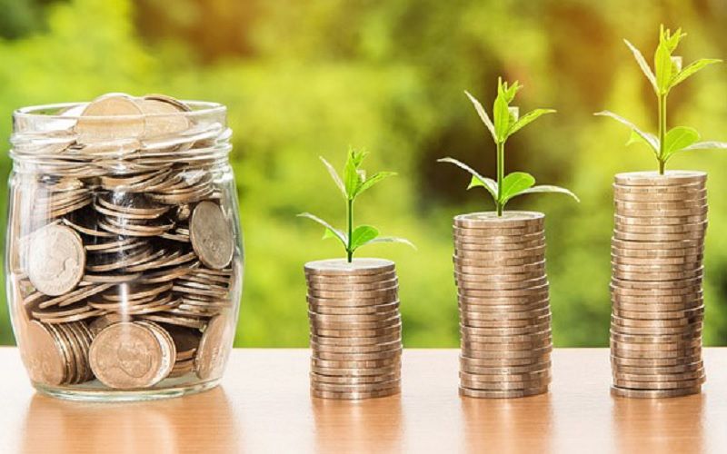 Республики СКФО получат ₽23 млн на поддержку агропроектов участников СВО