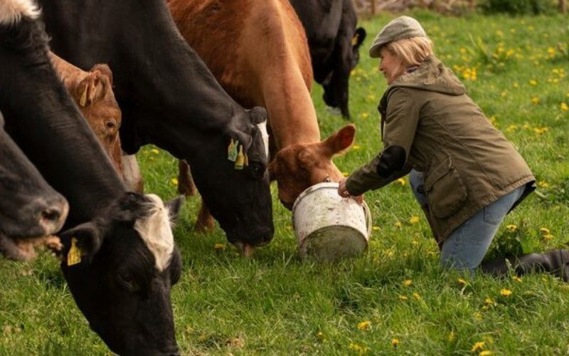 В Волгоградской области выросло поголовье коров на 0,1% и объем производства молока на 0,2%