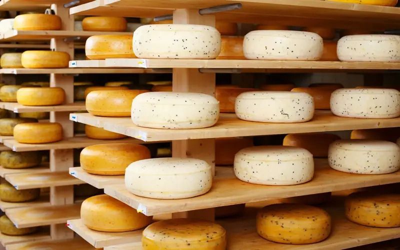 Якутский сыр начали продавать в Москве и Благовещенске