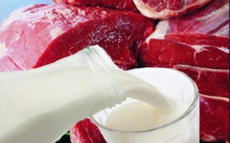 Липецкая область в 2025г снизила производство мяса на 2,3%, молока - увеличила на 6,5%