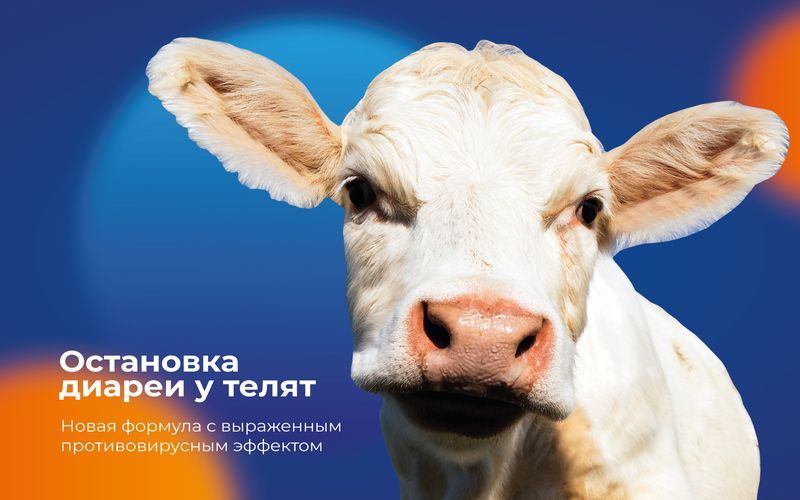 Применение изотонического напитка «Диаренд 3А» у телят: практический кейс