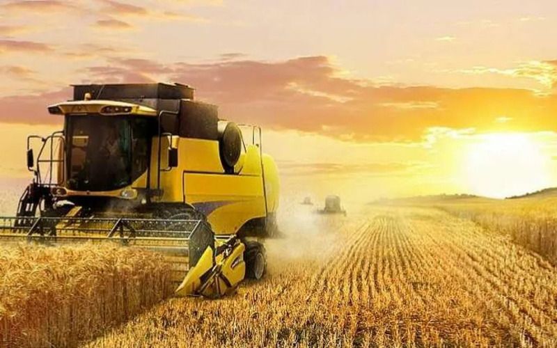 В Самарской области индекс сельхозпроизводства достиг 106%