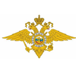 Официальный комментарий МВД РФ